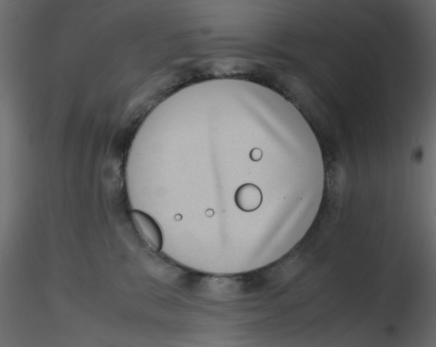 X0000116600327200912312102
