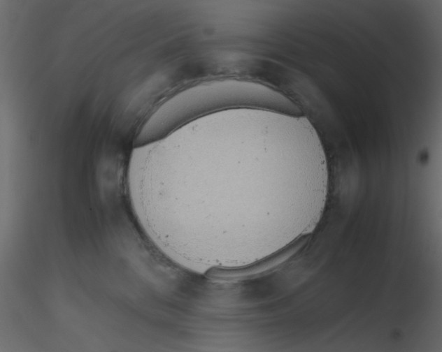 X0000116600328200912312102