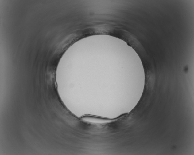 X0000116600329200912312102