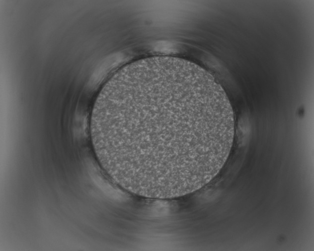 X0000116600330200912312102