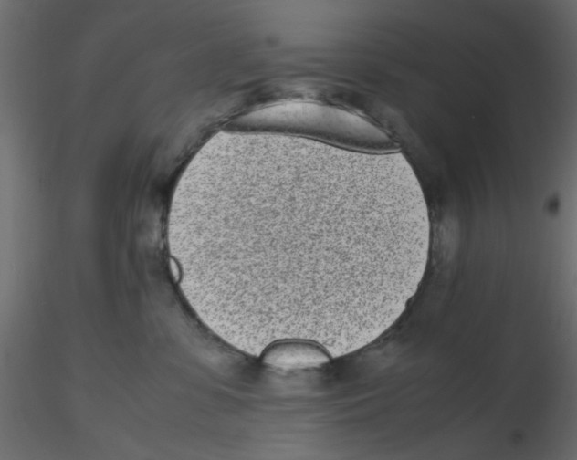 X0000116600331200912312102