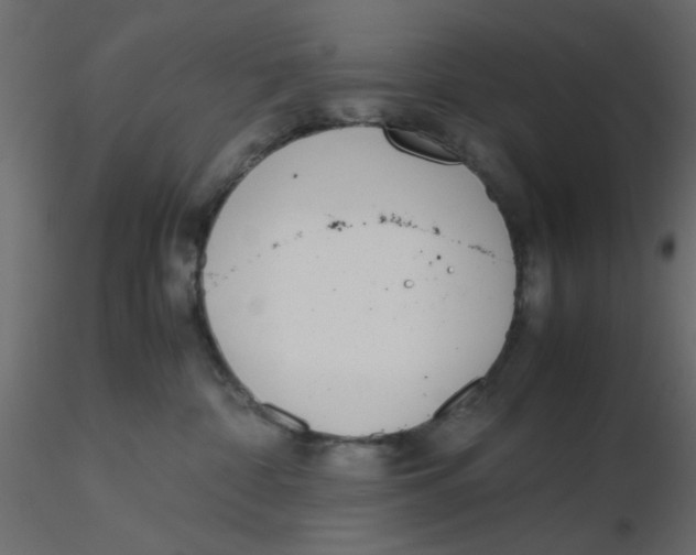 X0000116600332200912312102
