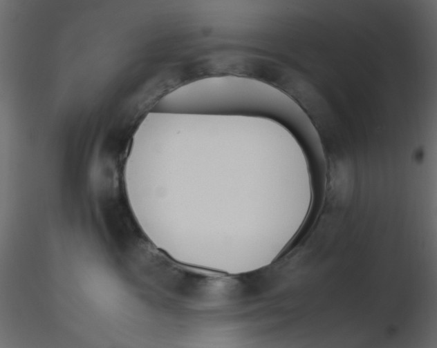 X0000116600333200912312102
