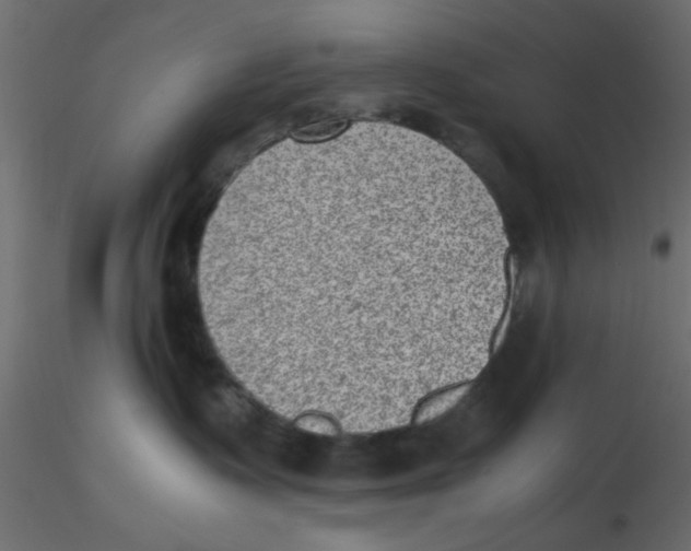 X0000116600335200912312102