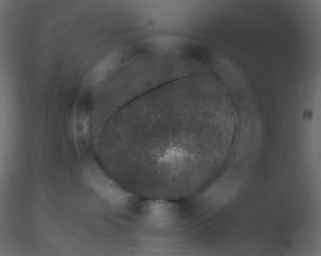 X0000116600336200912312102