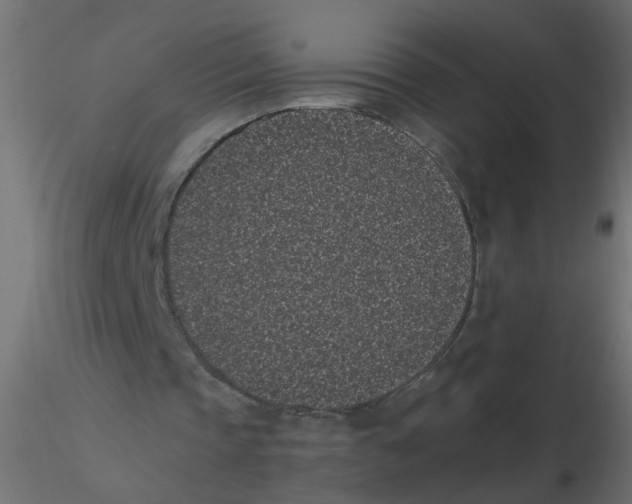 X0000116600337200912312101
