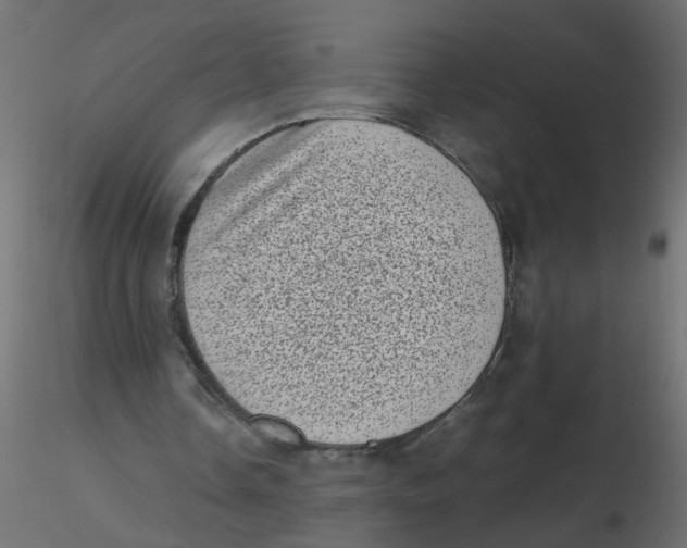 X0000116600338200912312101