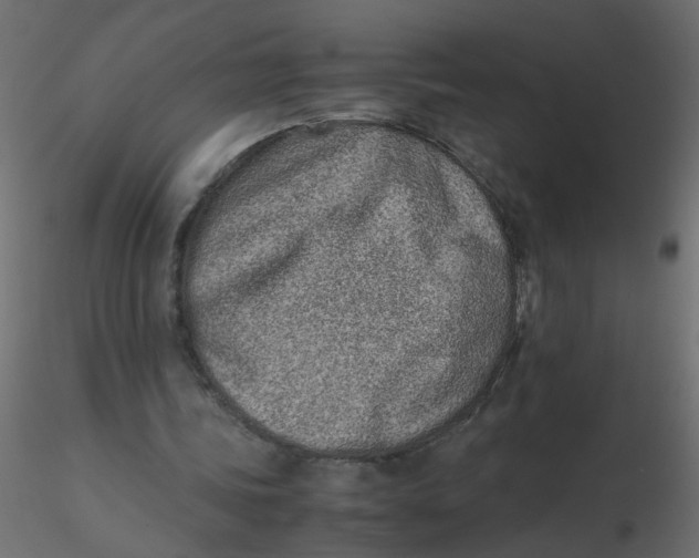 X0000116600339200912312101
