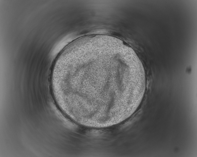 X0000116600341200912312101