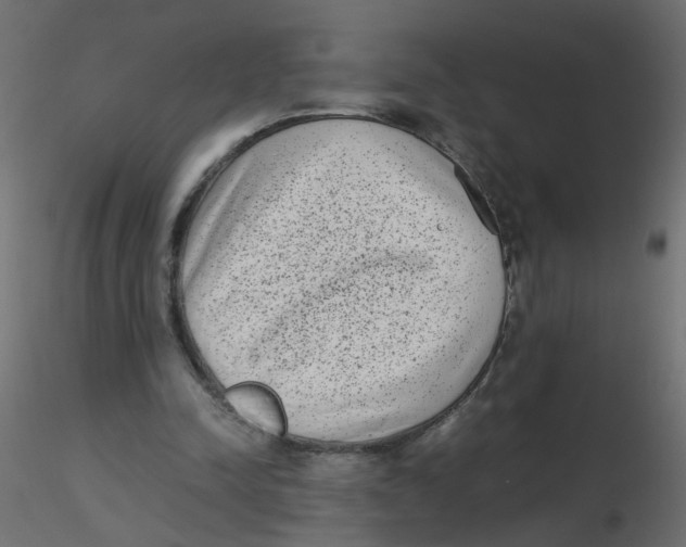 X0000116600342200912312101