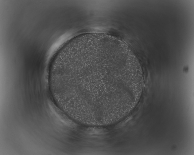 X0000116600343200912312101