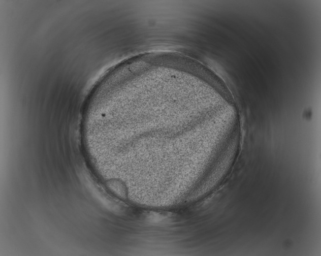 X0000116600346200912312101