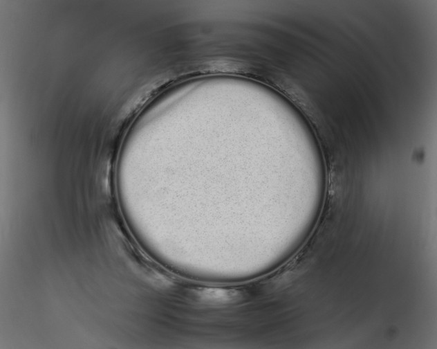 X0000116600347200912312101