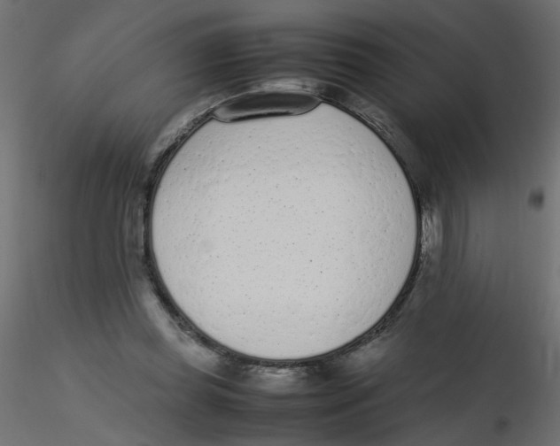 X0000116600349200912312101