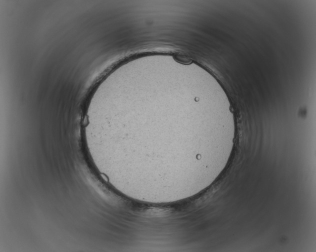 X0000116600350200912312102