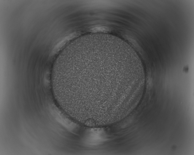 X0000116600353200912312102