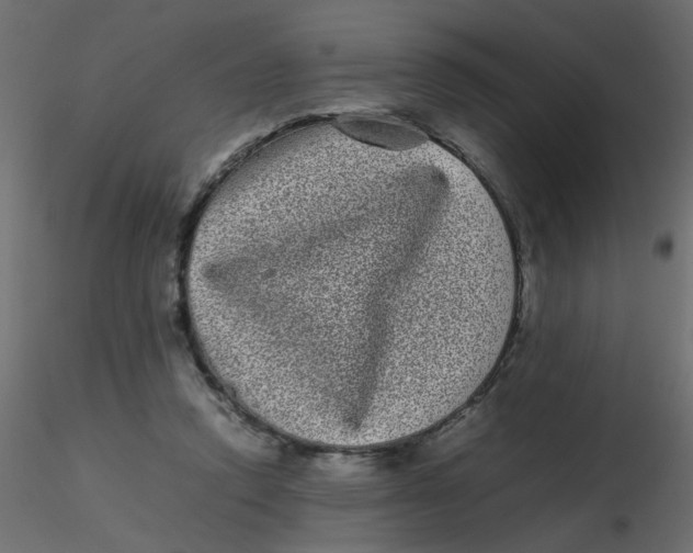 X0000116600354200912312102
