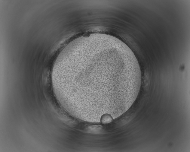 X0000116600355200912312102