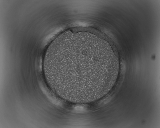 X0000116600358200912312102
