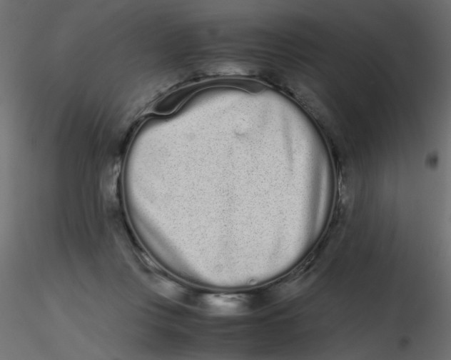 X0000116600359200912312102