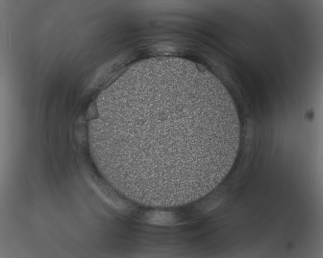 X0000116600361200912312102