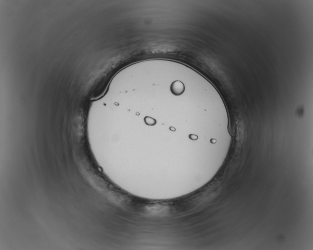 X0000116600362200912312102