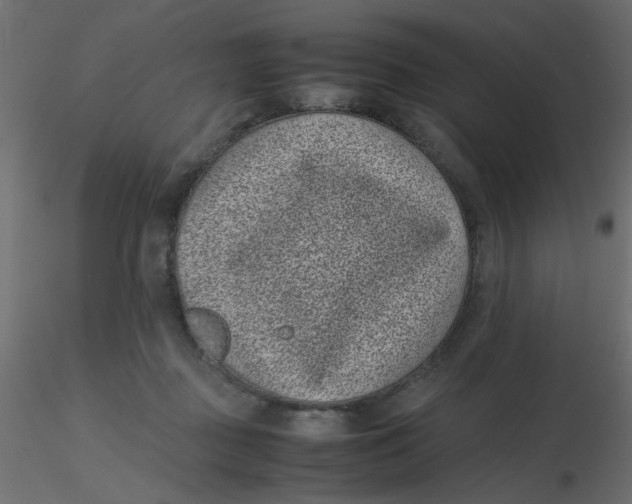 X0000116600363200912312102