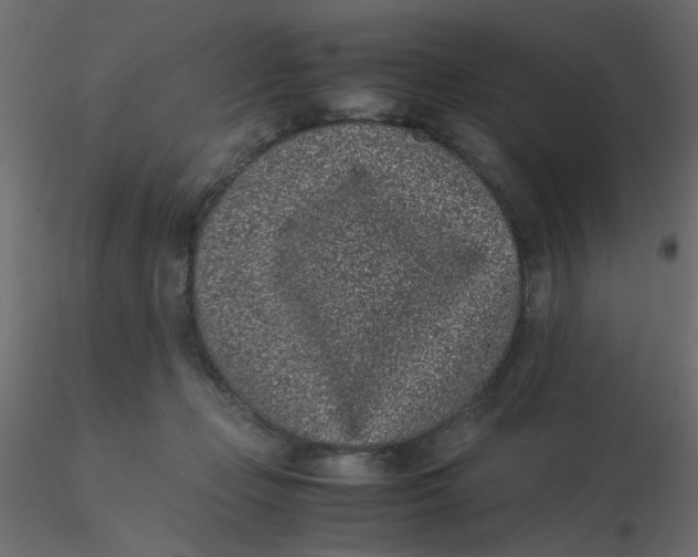 X0000116600365200912312102