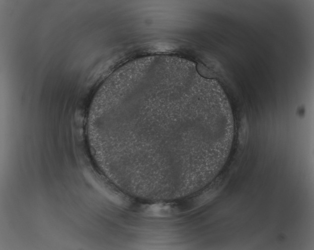 X0000116600366200912312102