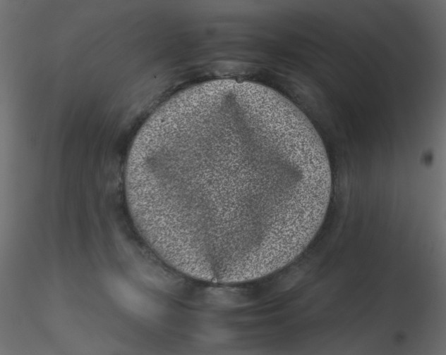 X0000116600367200912312102