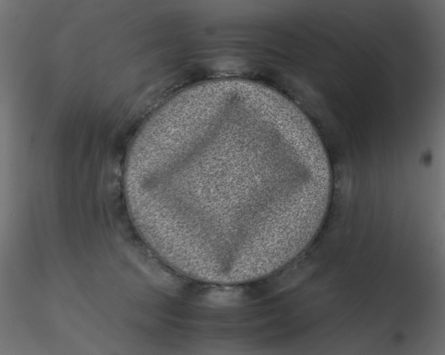 X0000116600369200912312102