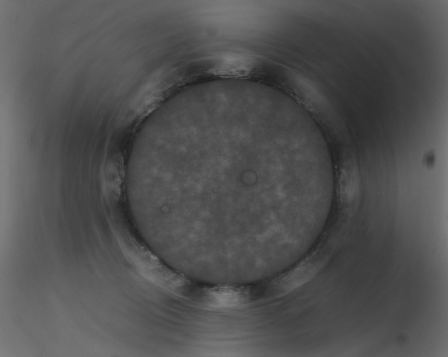 X0000116600370200912312102