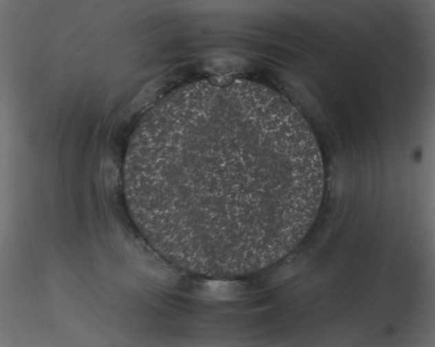 X0000116600371200912312102