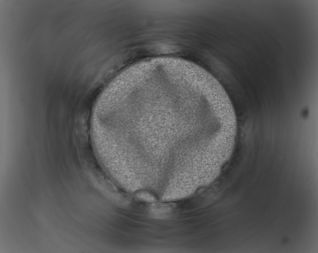 X0000116600373200912312102