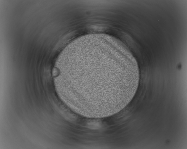 X0000116600377200912312102
