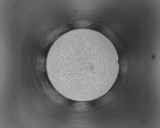 X0000116600378200912312102