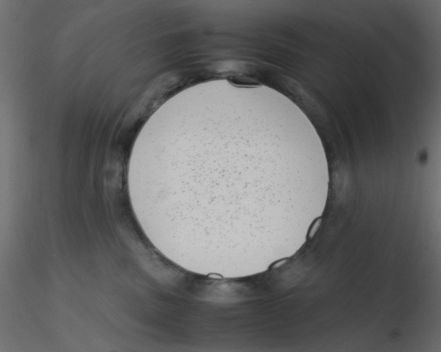 X0000116600379200912312102