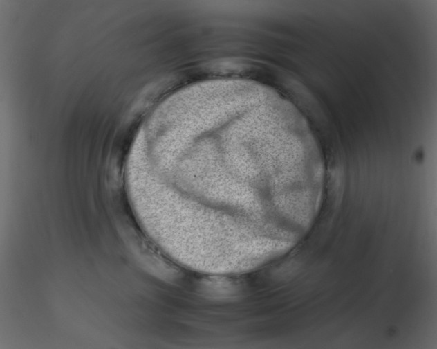 X0000116600381200912312102