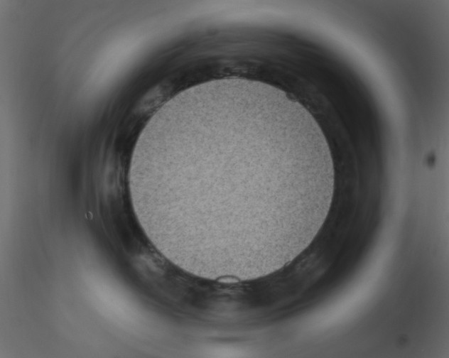 X0000116600382200912312102