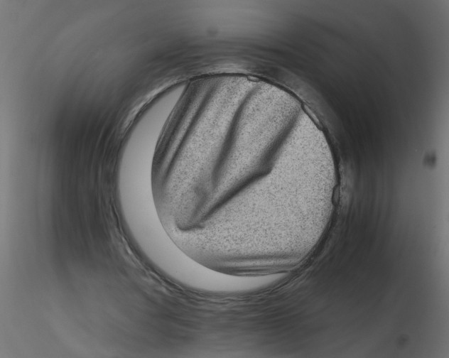X0000116600386200912312101
