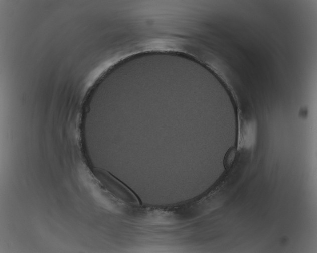 X0000116600387200912312101