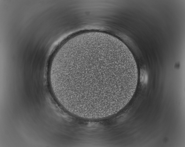 X0000116600388200912312101
