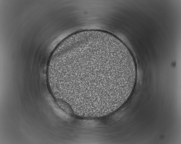 X0000116600389200912312101