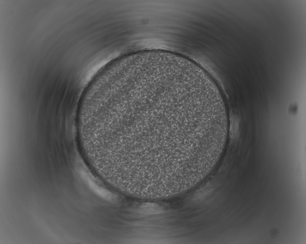 X0000116600390200912312101
