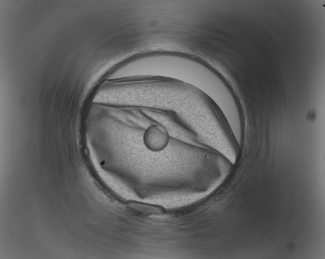 X0000116600391200912312101