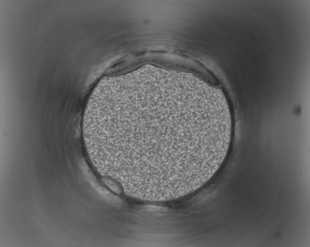X0000116600393200912312101