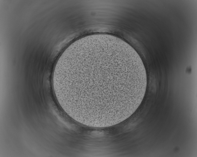 X0000116600394200912312101