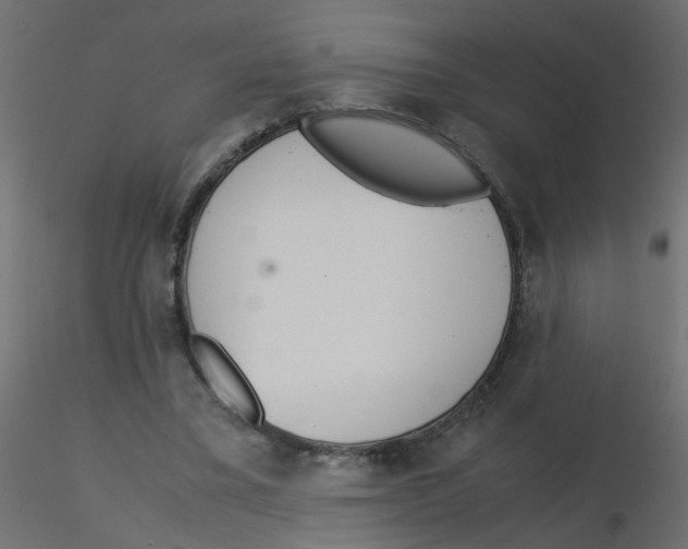 X0000116600395200912312101