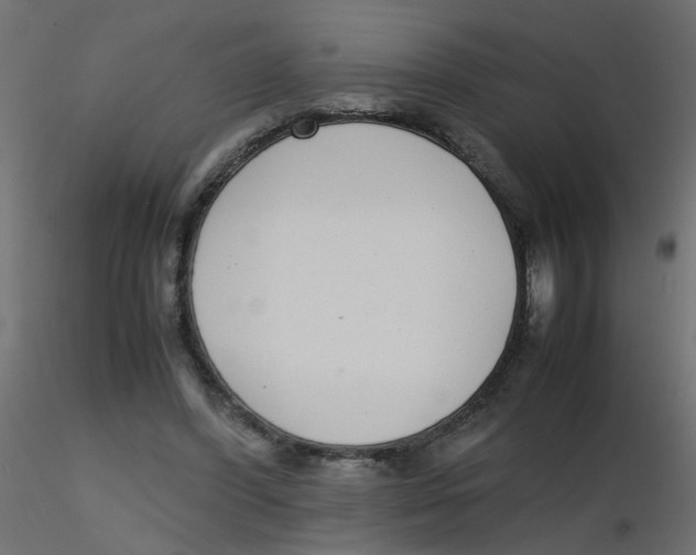 X0000116600396200912312101