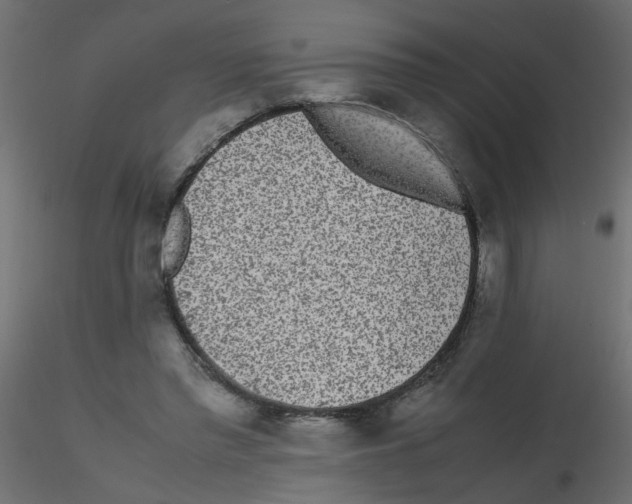 X0000116600397200912312101